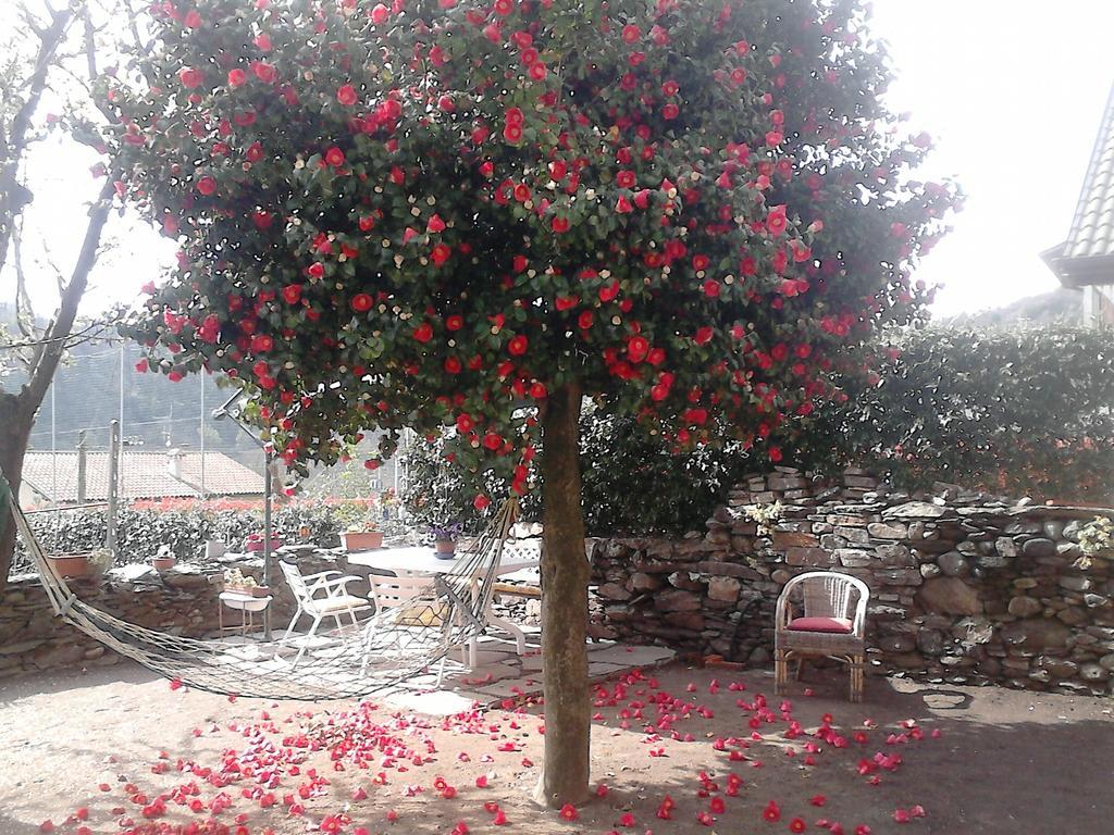 B&B Il Castello Lago Maggiore Con Terrazza Cossogno Dış mekan fotoğraf