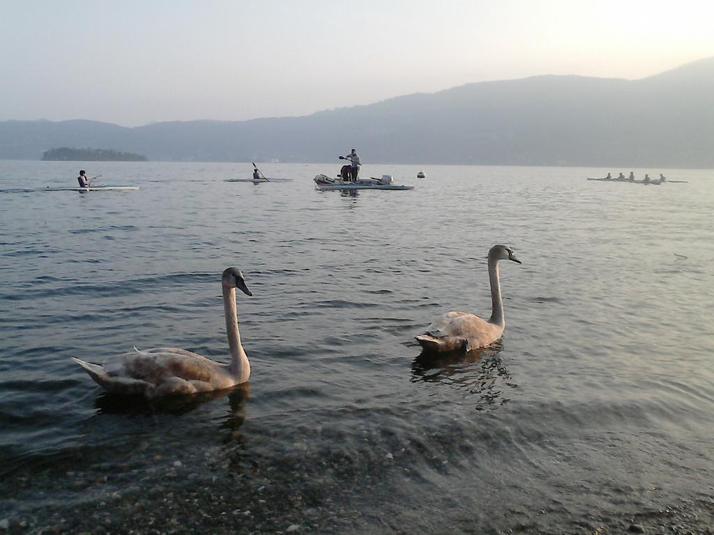 B&B Il Castello Lago Maggiore Con Terrazza Cossogno Dış mekan fotoğraf